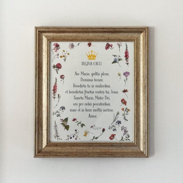 Hail Mary in Latin Beautiful Catholic Poster